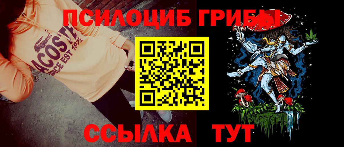 Галлюциногенные грибы ЛСД Гусиноозёрск