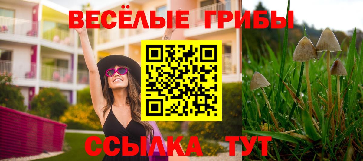 Галлюциногенные грибы Magic Shrooms  купить  сайты  Гусиноозёрск  Вход с VPN 